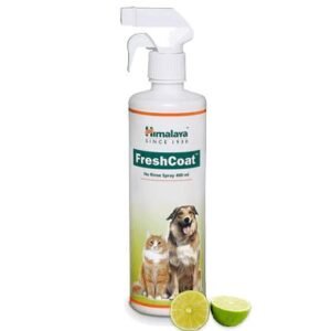 FreshCoat