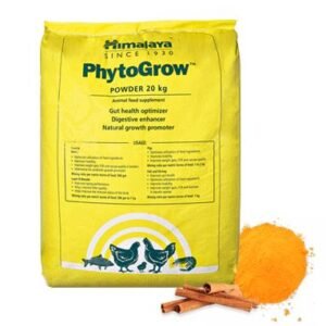PhytoGrow